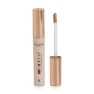 Brighten Up Concealer